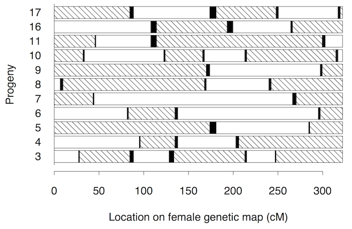 Broman and Weber (2000) Fig 1