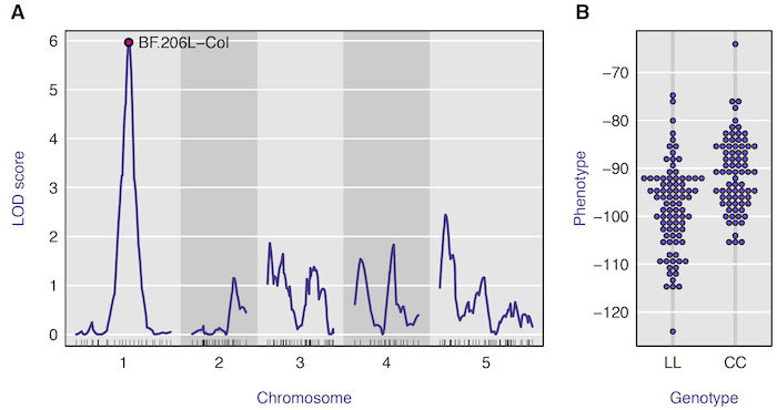 Broman (2014) Fig 1