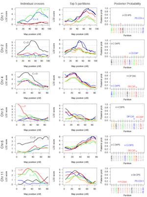 Broman et al. (2012) Fig 6