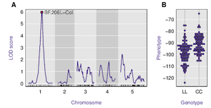 Broman (2014) Fig 1