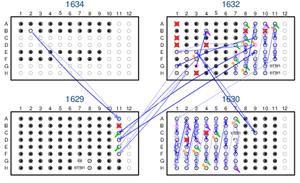 Broman et al. (2013) Fig 7